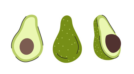 Set of Avocado Illustrations. Hand Drawn Vector Illustration.