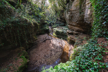 Natural canyons (forre), streams and waterfalls near the village of Gallese, in the Province of...