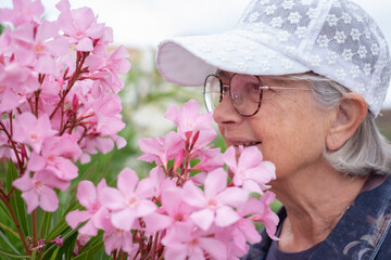 Closeup on senior woman in white cap and eyeglasses smelling a pink oleander flower in outdoors
