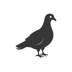 Obraz premium Versatile Pigeon Silhouette Vector with Black and White Aesthetic.