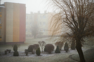 mgła © Marcin Łazarczyk