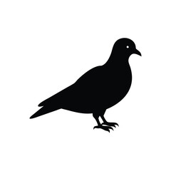 Pigeon Silhouette Vector  Perfect for Logos and Graphics