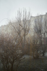 mgła © Marcin Łazarczyk