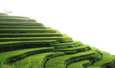 PNG Landscape outdoors terrace nature.