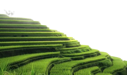 Draagtas PNG Landscape outdoors terrace nature. © Rawpixel.com