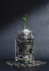 Green sprout in glass jar with coins, illuminated by sunbeam. Growth of ecological green business.