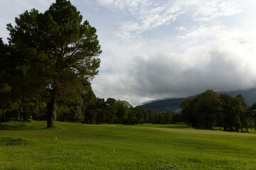 Lush green golf course landscape with towering pine trees under a cloudy sky, ideal for sports and outdoor activities in a serene environment