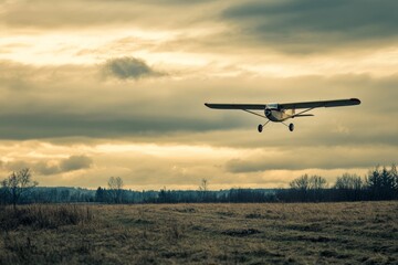 Fototapeta premium A small plane glides gracefully over a grassy meadow during twilight. The sky is painted with golden hues, creating a serene backdrop as the aircraft approaches the ground. With copy space for text