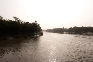 Beautiful mangrove forest of Sundarban tiger reserve during sunrise, India