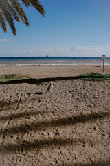 beach in the morning