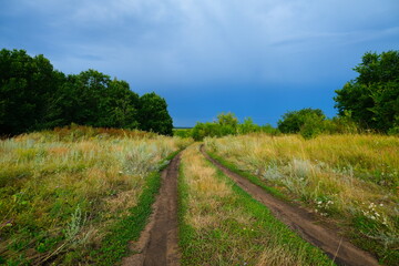 Fototapeta premium A country road with sprouted grass, stretching towards the horizon with a blue sky.