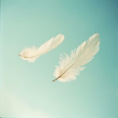 Fototapeta premium Feather on blue background. Retro style. Square composition. Copy space.