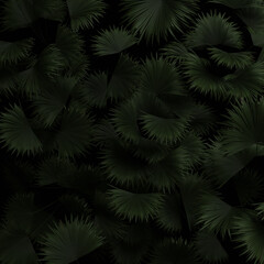3D Rendering of palm leaves from top view in dark mood