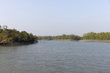 Green all aling the river channel at Sundarban tiger reserve, India