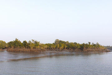 River channel, mudflat, eroded banks and mangrove forest of Sundarban tiger reserve, India