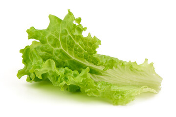 Lettuce Salad leaves, isolated on white background.