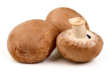 Royal brown champignons, isolated on white background.