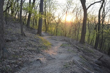 Obraz premium Sure, here are four paraphrased versions of the sentence: