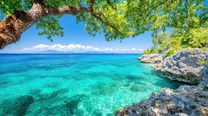 Fototapeta premium Tropical beach, turquoise water, tree canopy, island view, summer vacation