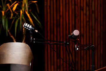 Podcast setup featuring modern microphones and a wooden backdrop with indoor plants in a recording...