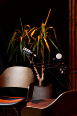 Microphone setup for podcast interview in a cozy studio with plants and wooden accents