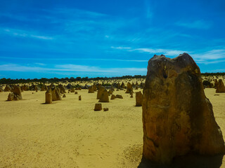 Ancient limestone pillars rise dramatically from golden desert sand. Vivid blue sky at Pinnacles Desert, Nambung National Park, Western Australia. Natural rock formations create otherworldly landscape