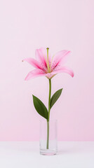 Minimalist floral design with pink lily stem in glass vase against soft background
