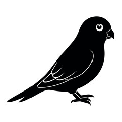 illustration of a bird