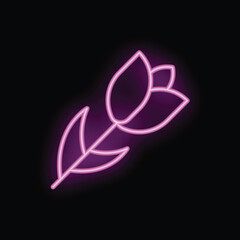Bright pink neon sign of a tulip flower glowing on a black background