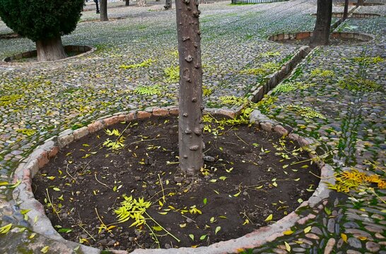 las acequias para riego en parques y jardines