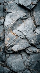 Light gray natural stone displays a captivating texture formed by layered rock, inviting admiration for its geological artistry. This unique surface highlights nature's craftsmanship