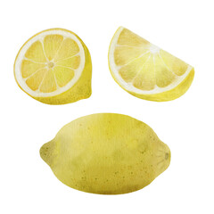 Composition with whole and sliced ​​yellow lemon, lemon slice. Hand drawn watercolor elements for your design. Isolated on a trasparent background.