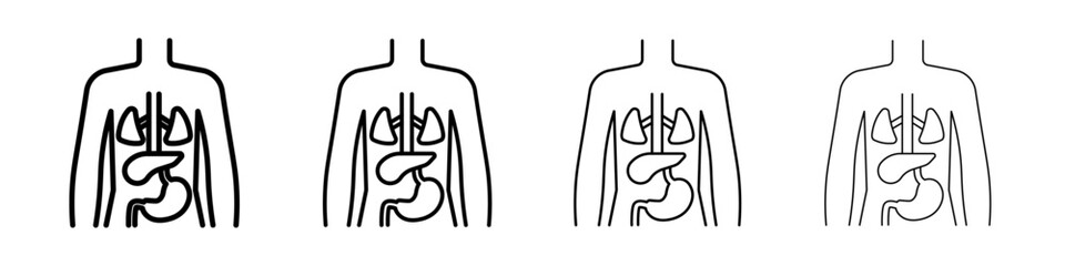 human body anatomy icon Outline sign symbol set