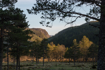 Scenic Landscapes of Hjelmeland - Near the Ancient Meteorite Crater, Ritlandskrateret