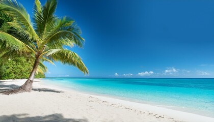 Obraz premium serene tropical beach view with palm trees and turquoise waters under a clear blue sky