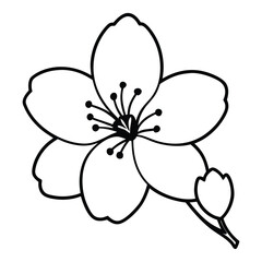 Illustration of a flower