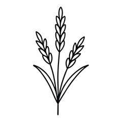 wheat ears isolated on white vactor illustration