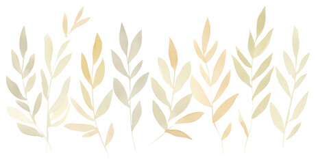 PNG Leaves lines divider watercolour illustration backgrounds pattern plant.