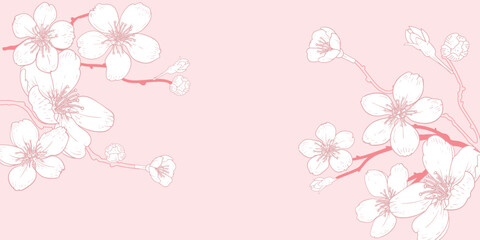 Vector horizontal pink background with line art of sakura branch with flowers. Hand drawn cherry branches. Vector illustration.