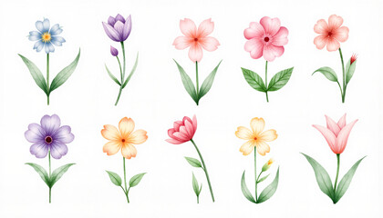 Fototapeta premium Watercolor flowers in various colors on a white background