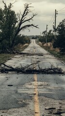 Aftermath: A Road Blocked by Nature's Fury