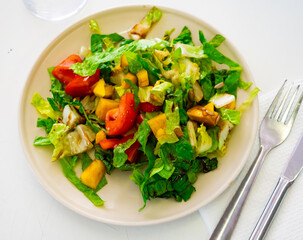 Refreshing salad with greens, tomatoes, bell pepper, mango, sunflower seeds and balsamic sauce