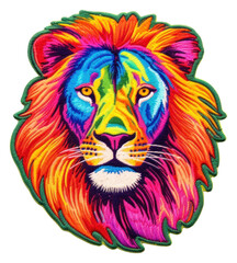 Obraz premium PNG Lion pattern mammal animal.