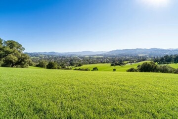 Large, open field with a clear blue sky