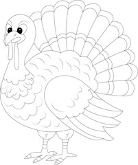 Kawaii Turkey Hand Draw Farm Animal Coloring Page