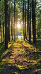 Fototapeta premium Golden rays of sunlight pour through the canopy, illuminating a lush forest pathway. Shadows dance on the mossy ground, while a peaceful lake glimmers in the distance, inviting adventure