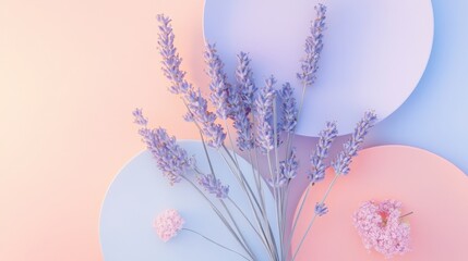 Lavender Flowers Arranged on Pastel Colored Circles