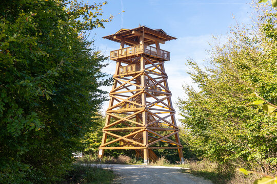 Wooden observation tower in forest clearing - Powered by Adobe