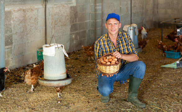 Positive farmer holding basket of chicken eggs in a poultry farm