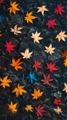Vibrant Autumn Leaves on Dark Stone Background Overhead View
